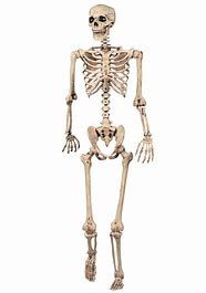 Skeleton in Your Closet